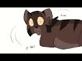 squirrelflight and brambleclaw argue in public