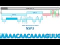 🎤 SARS-CoV-2 • Complete Genome Sequence (Karaoke)