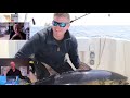Blue Fin Tuna in UK waters   A webinar V2 1
