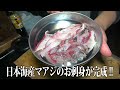 投げサビキ釣りで尺アジが連発！独り勝ちできるデカアジ狙い最強の裏技を紹介【車中泊釣り旅】