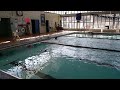 March 2017--50 yard fly--end of workout