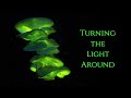 Turning the Light Around  ~ The Secret of the Golden Flower ~ Inner Alchemy