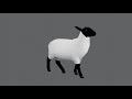 Basic Animal Rigging in Blender 2.91