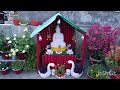 बहुत ही सुंदर अद्भुत गार्डन || beautiful landscapes garden ideas|| garden decoration ideas ||