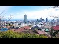 背山散策路 北野道