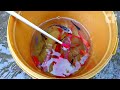 Catch colorful Koi Fish in the Hole, Goldfish, Comet Fish, Betta Fish, Molly Fish