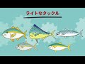 【初心者講座】ショアジギングに使うタックル選びの基礎・基本解説！