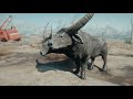 Fallout 4: 5 Rare and Interesting Creature Types You May Have Missed - Fallout 4 Secrets (Part 4)