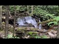 Lehigh Gorge State Park