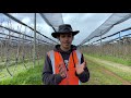 تجربة العمل في مزارع استراليا