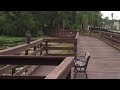 Feeding birds behind University Village