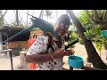 Bird attack on Maafushi, Maldives