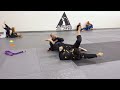 Jiu-Jitsu Black Belt vs Blue Belt - Submission Clinic
