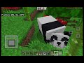 I built my house in Minecraft pe | Candulla Gaming