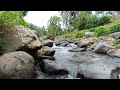 4K 10 Hours - Beautiful Forest Stream Sound - Beautiful Sound of River Water