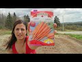 Sowing Carrots in Cornstarch for great germination no thinning and prevent seed waste