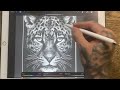 Procreate Tips For Beginners