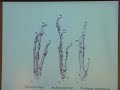 10/8/05  Richard Prum - The Evolution of Birds: Why Birds are Dinosaurs