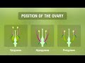 Study of Different Types of Inflorescences