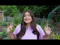 I'm Behind On My Garden | June Garden Chores & Planting
