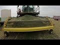 Chopping Second Crop Alfalfa