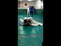 Judo Fight