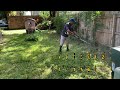 Extremely overgrown yard [in4k] How to Cut