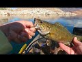 EPIC DAY Fishing Lake Mead! Plus Old Shipwreck Found! 3/16/24