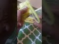 Ketupat weaving by AtukMan