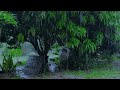 Good bye insomnia..! Best rain sound for sleeping in 3minutes, rain sound for deep sleep