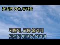 #가수홍원빈 #부산항