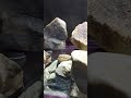Gem/Stone/Rock/Minerals