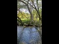 Hiawassee River - Hiawassee, GA