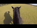 Helmet Cam: Simply Priceless (CIC3* | 2017 Ocala Jockey Club Three Day Event)