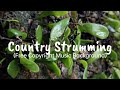 FREE MUSIC BACKGROUND | Acoustic - Country Strumming