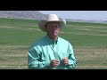 Ken McNabb: How to Ride Your Horse with Light Hands | Learn Shoulder, Ribcage & Hindquarter Control