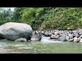 River In The Forest. Soothing Water Sounds. Natural Views, River Noise to Sleep.