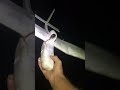 Styrofoam glider night flight