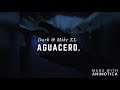 Aguacero (Cover) Dark XL ft. Mike XL