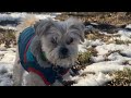 Poppy and Bella at Cherry Beach 3.23.24