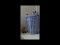 Strong Kitten|Funny Cat escape