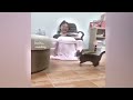 When Cats Are So Silly 😹😆 Best Funny Videos compilation Of The Month ❤️
