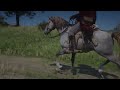 لیست بهترین اسب های بازی به همراه آموزش شیوه درست امتیازدهی در رد دد ردمپشن دو | RDR2: TOP 10 Horses