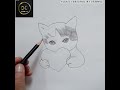 How to draw cat 🐈  drawing with pencil shading #cat  drawing #