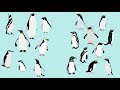 Great Auks: The First Penguins