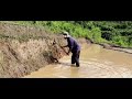 Terrace Rice Cultivation.