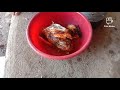 Belajar panggang ayam guling, Betutu, mumpung libur