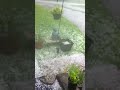 Hail Storm June 25, 2017