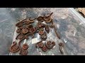 Walking inside mountain to Millipede I'm not lying | Hunting lots big millipedes #animal #pets