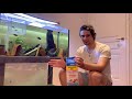 The Night Routine in The Fish Room *** How to setup a BBS hatchery ***